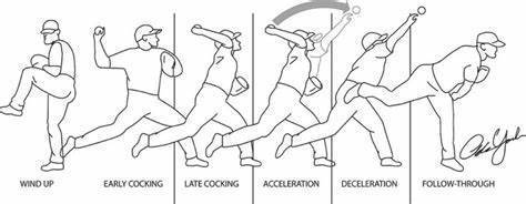 Phases  of the Overhead Baseball Pitch